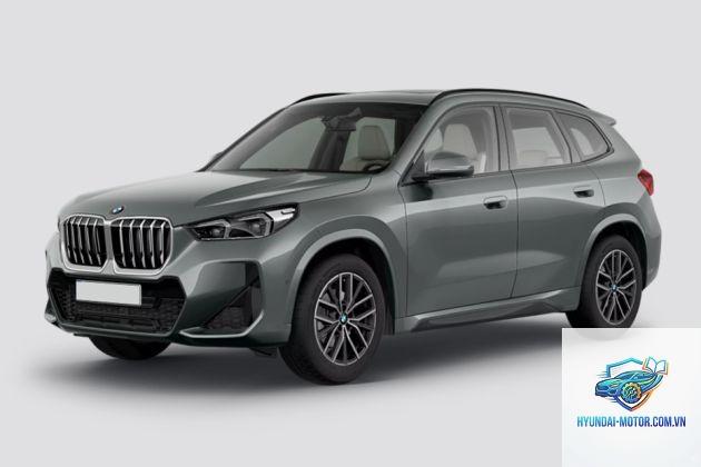 BMW X1 - Hình 3