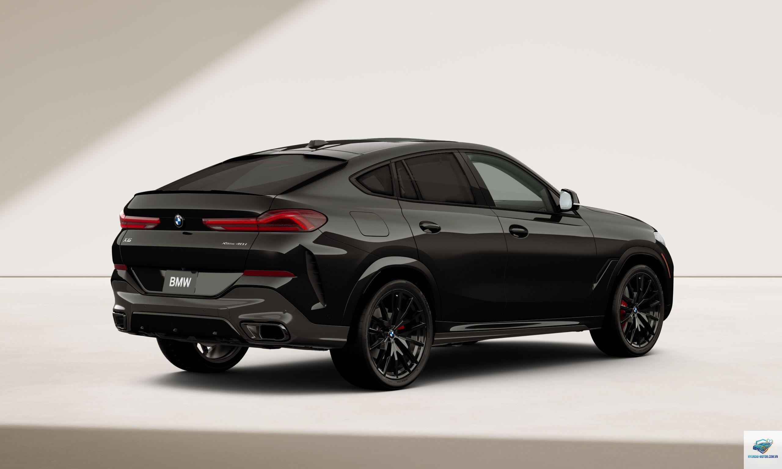 BMW X6 - Hình 2