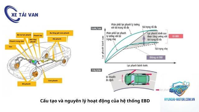 EBD là gì - Hình 3