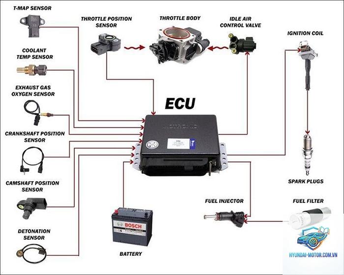 ECU là gì