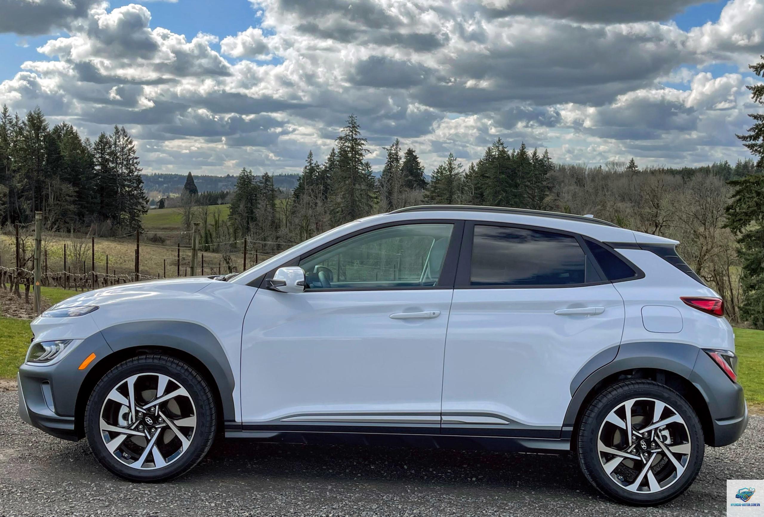 Hyundai Kona - Hình 1
