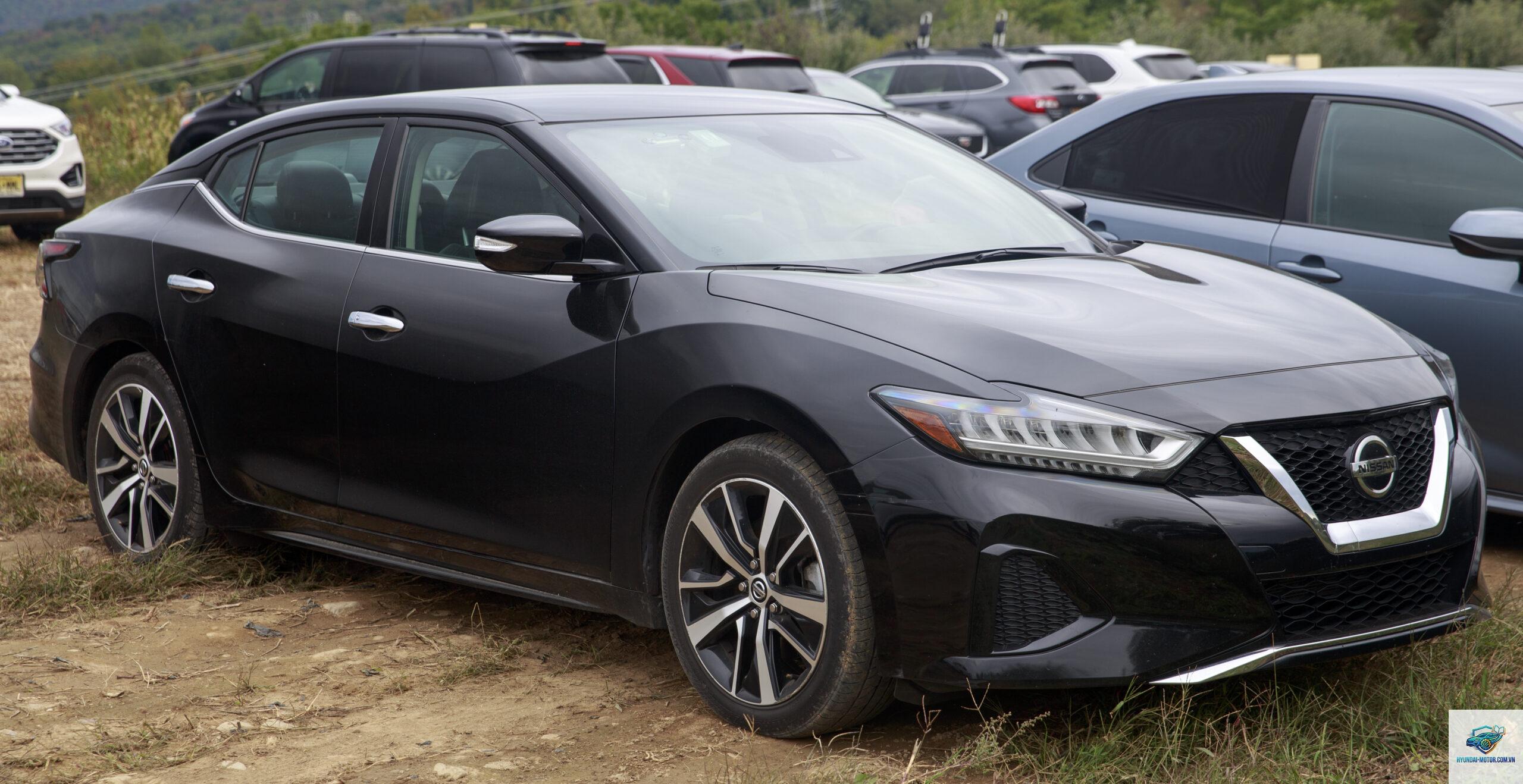 Nissan Maxima - Hình 1