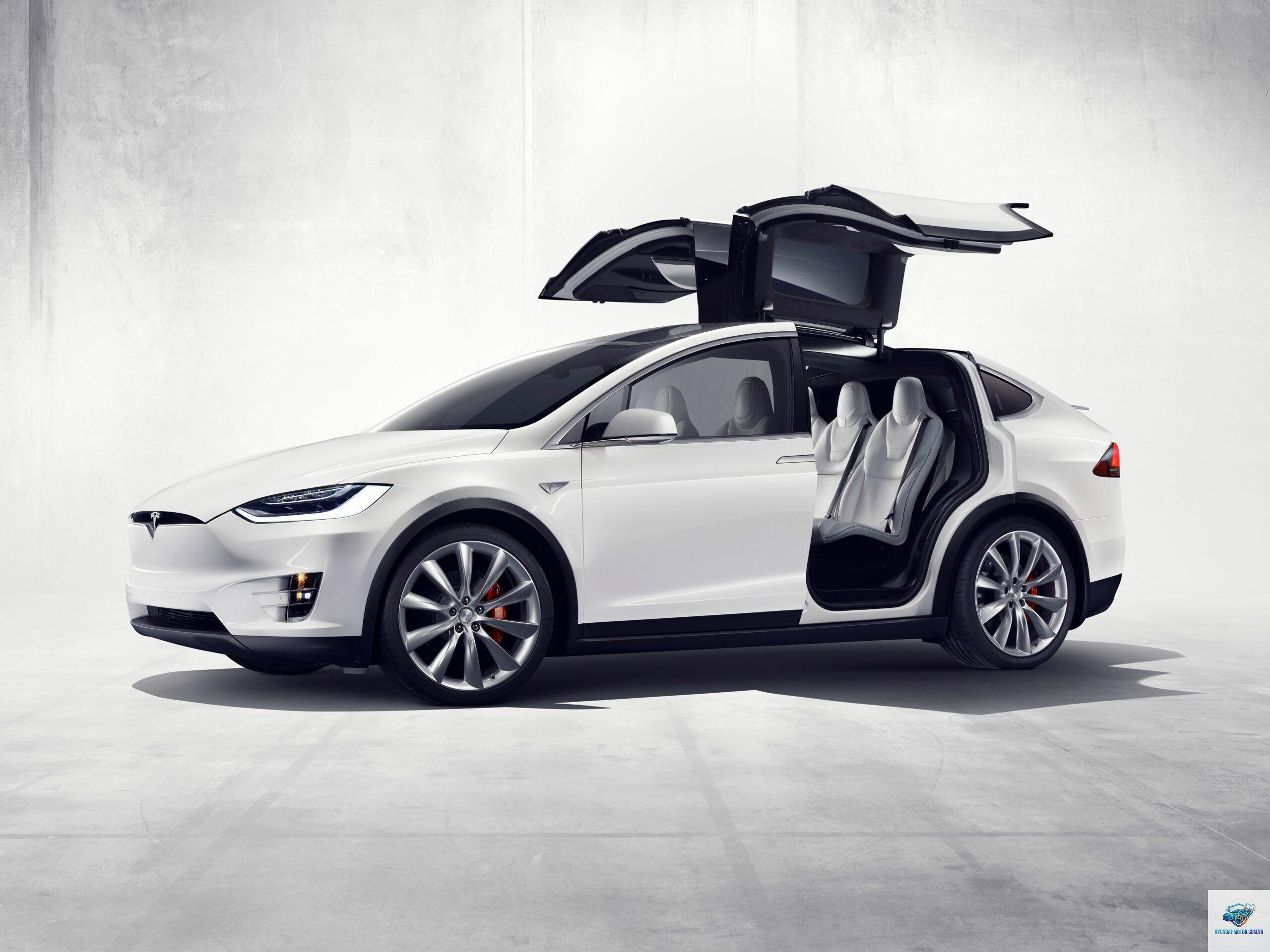 Tesla Model X - Hình 2