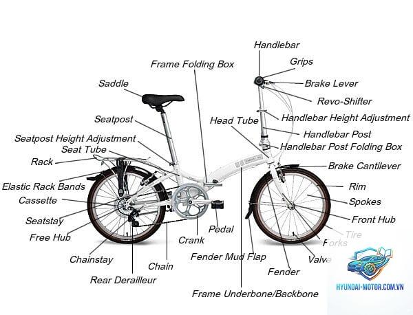 backbone frame là gì - Hình 3