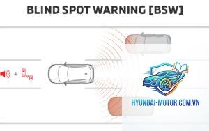 blind spot là gì