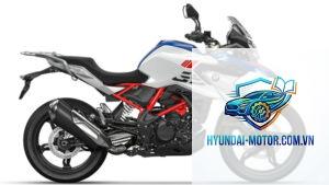 bmw g310gs