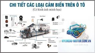 cảm biến ô tô là gì - Hình 3