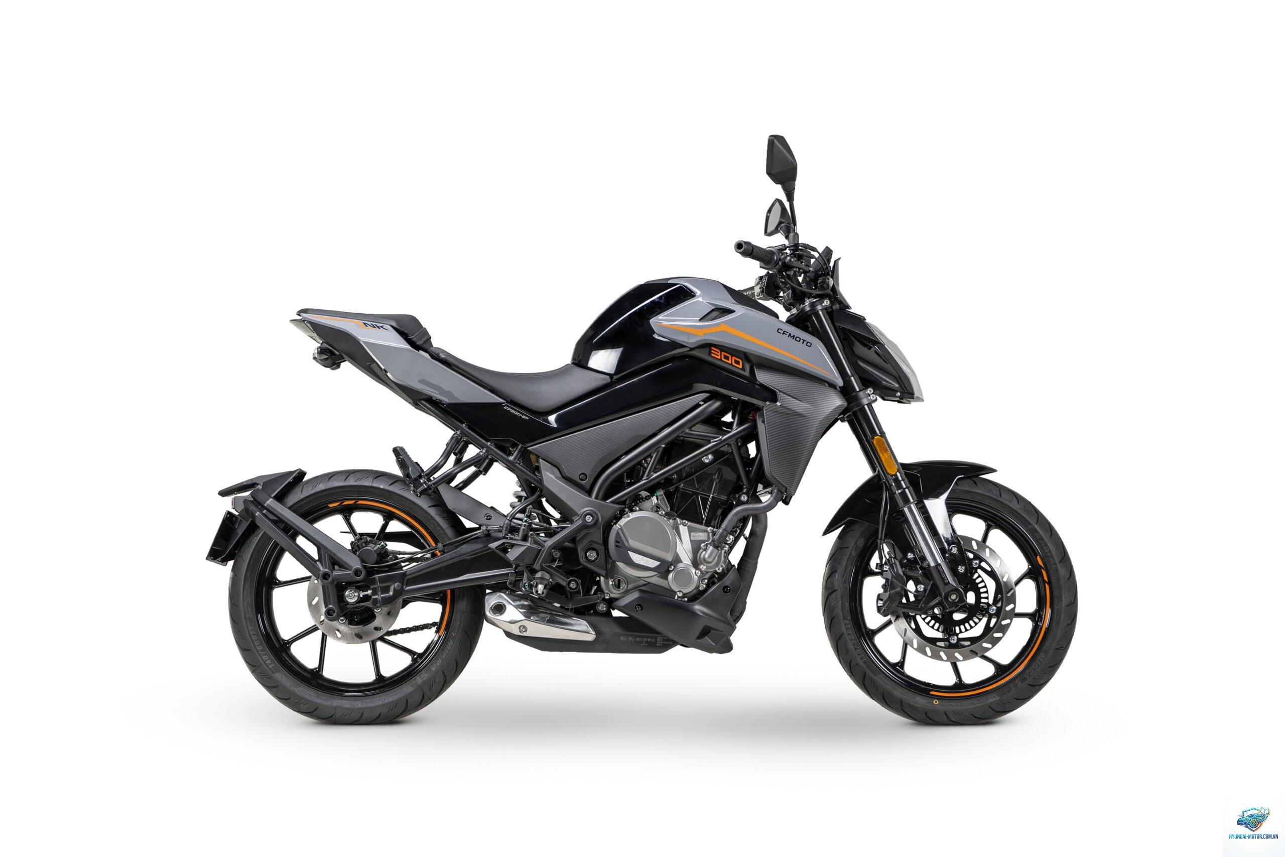 cfmoto 300nk - Hình 5