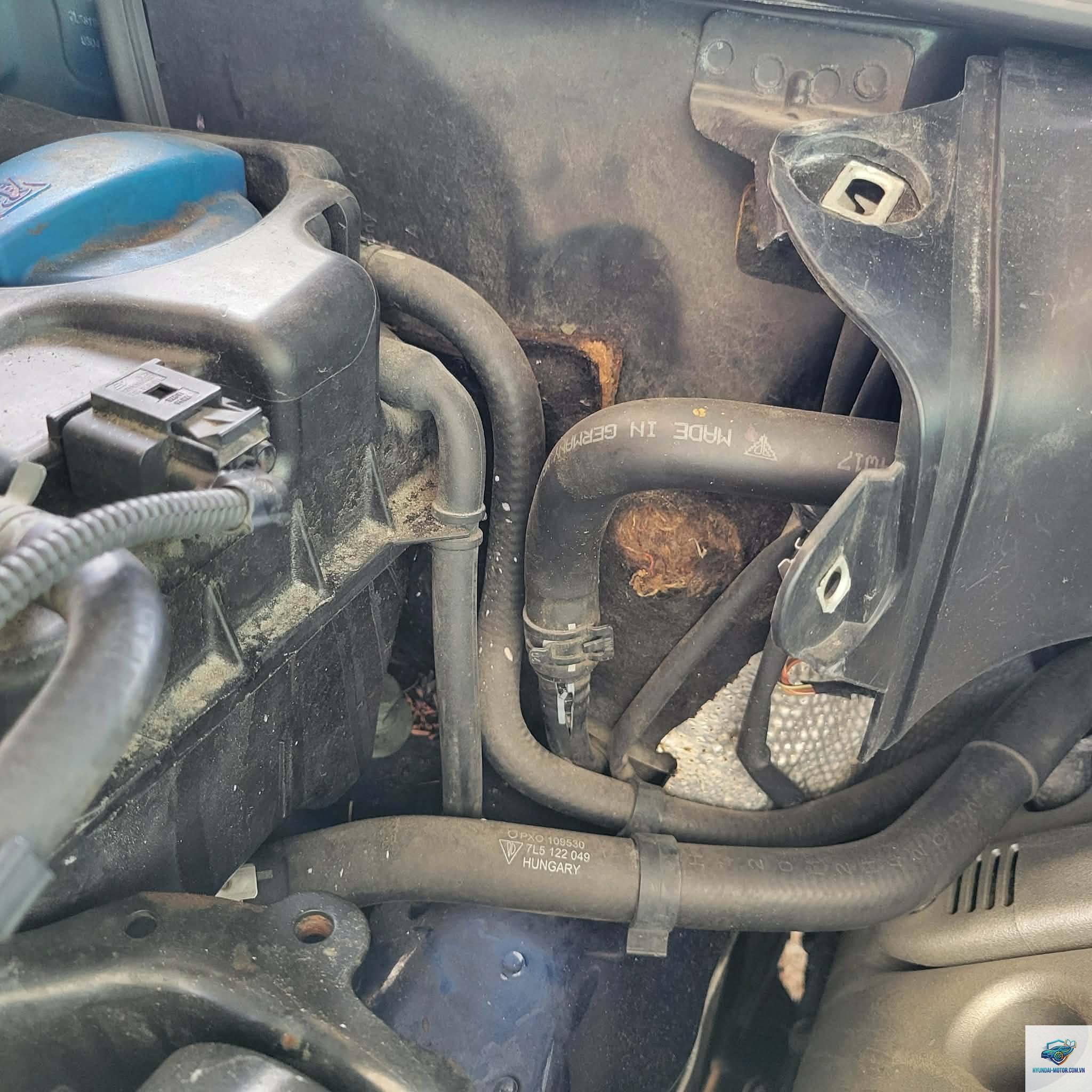 coolant leak là gì - Hình 3