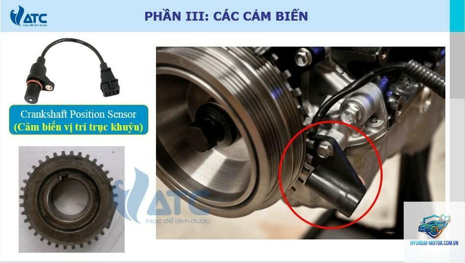 crankshaft position sensor là gì - Hình 2