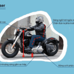 cruiser là gì