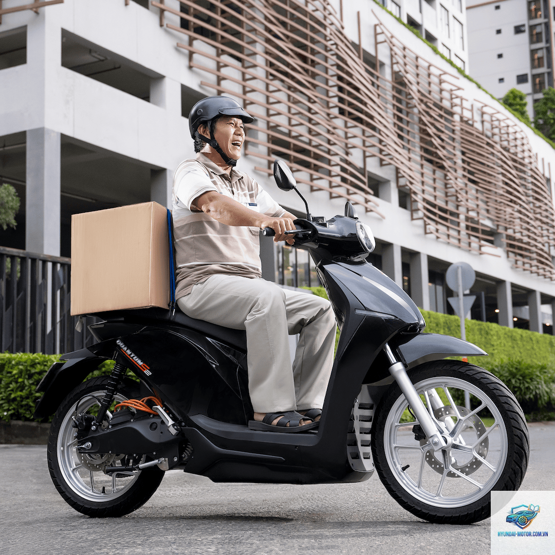 dat bike quantum s2 - Hình 2
