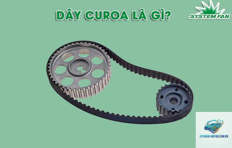 dây curoa là gì - Hình 3