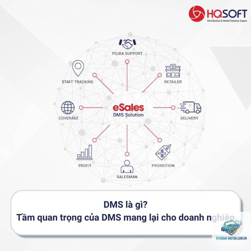 dms là gì - Hình 3