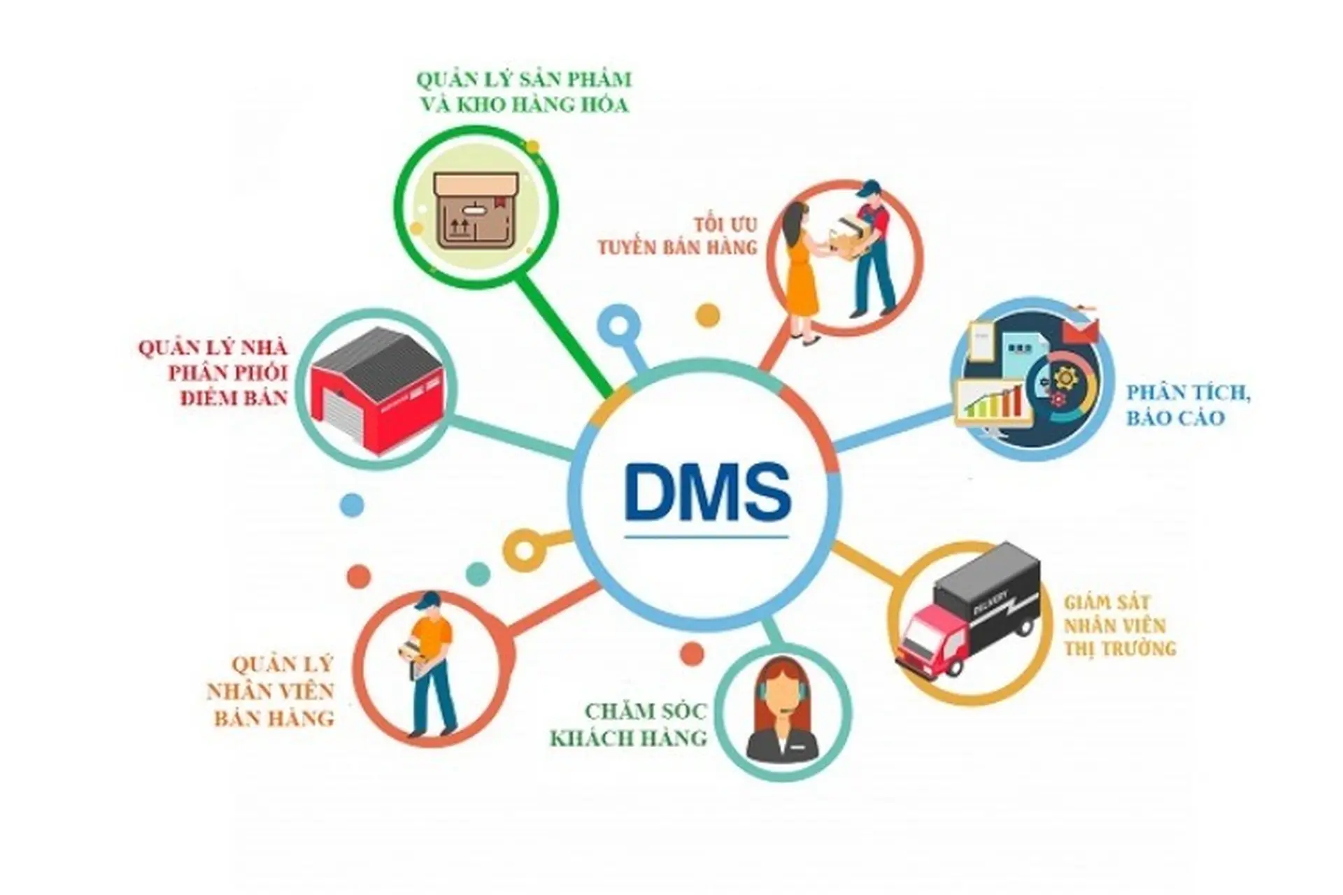 dms là gì - Hình 1