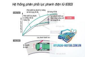 ebd là gì