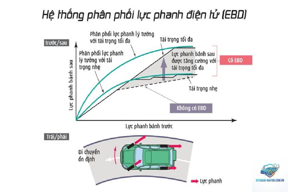ebd là gì - Hình 1