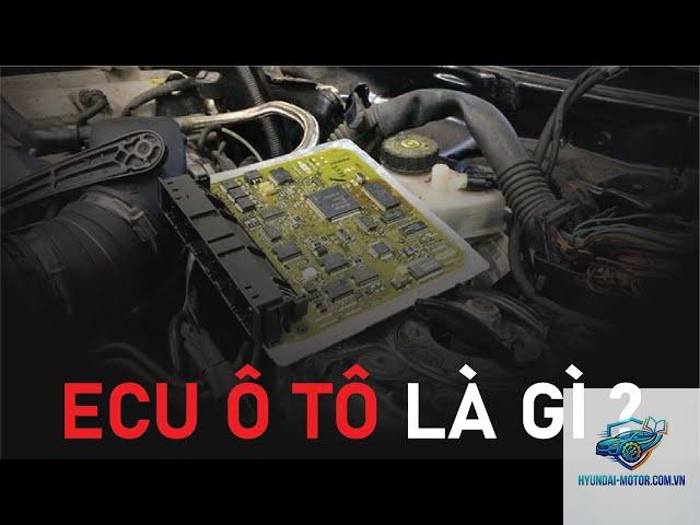 ecu relearn là gì - Hình 2