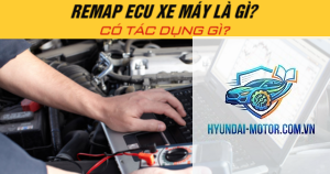 ecu remap là gì