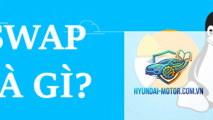 engine swap là gì