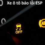 esp fault là gì