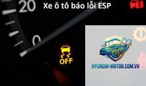 esp fault là gì