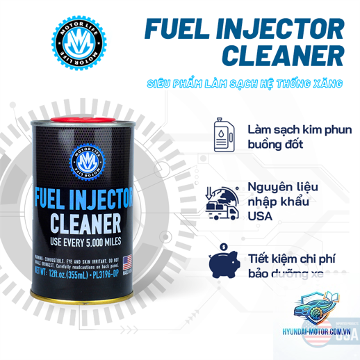 fuel injector cleaning là gì - Hình 2