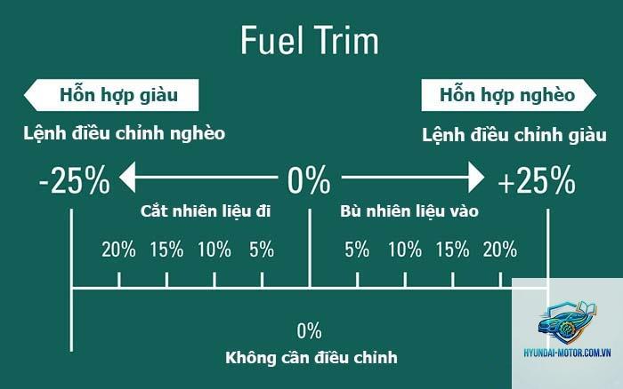 fuel trim là gì - Hình 3