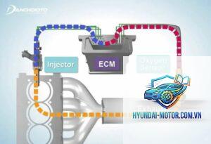 fuel trim là gì