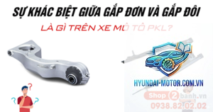 gắp đơn là gì