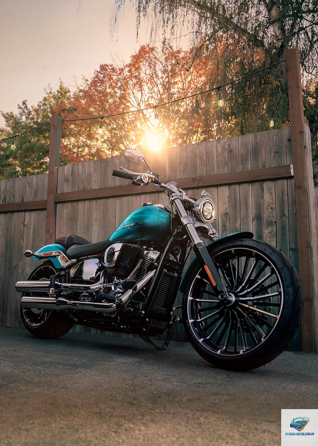 harley davidson breakout - Hình 2