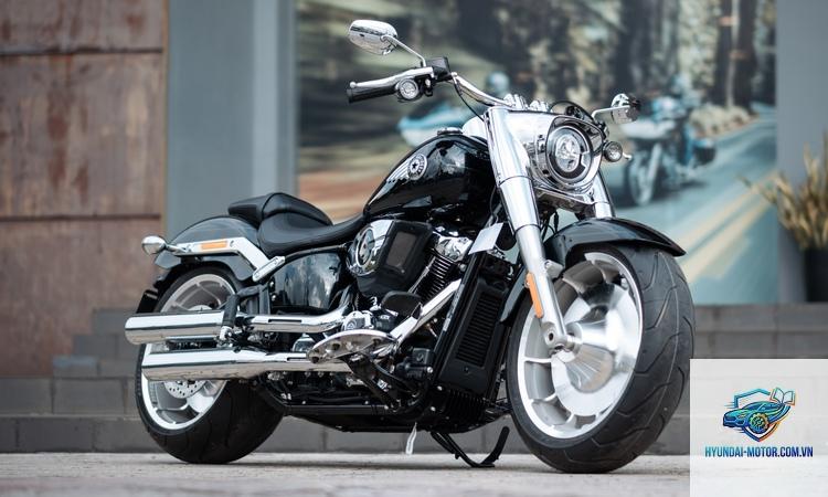 harley davidson fat boy - Hình 3