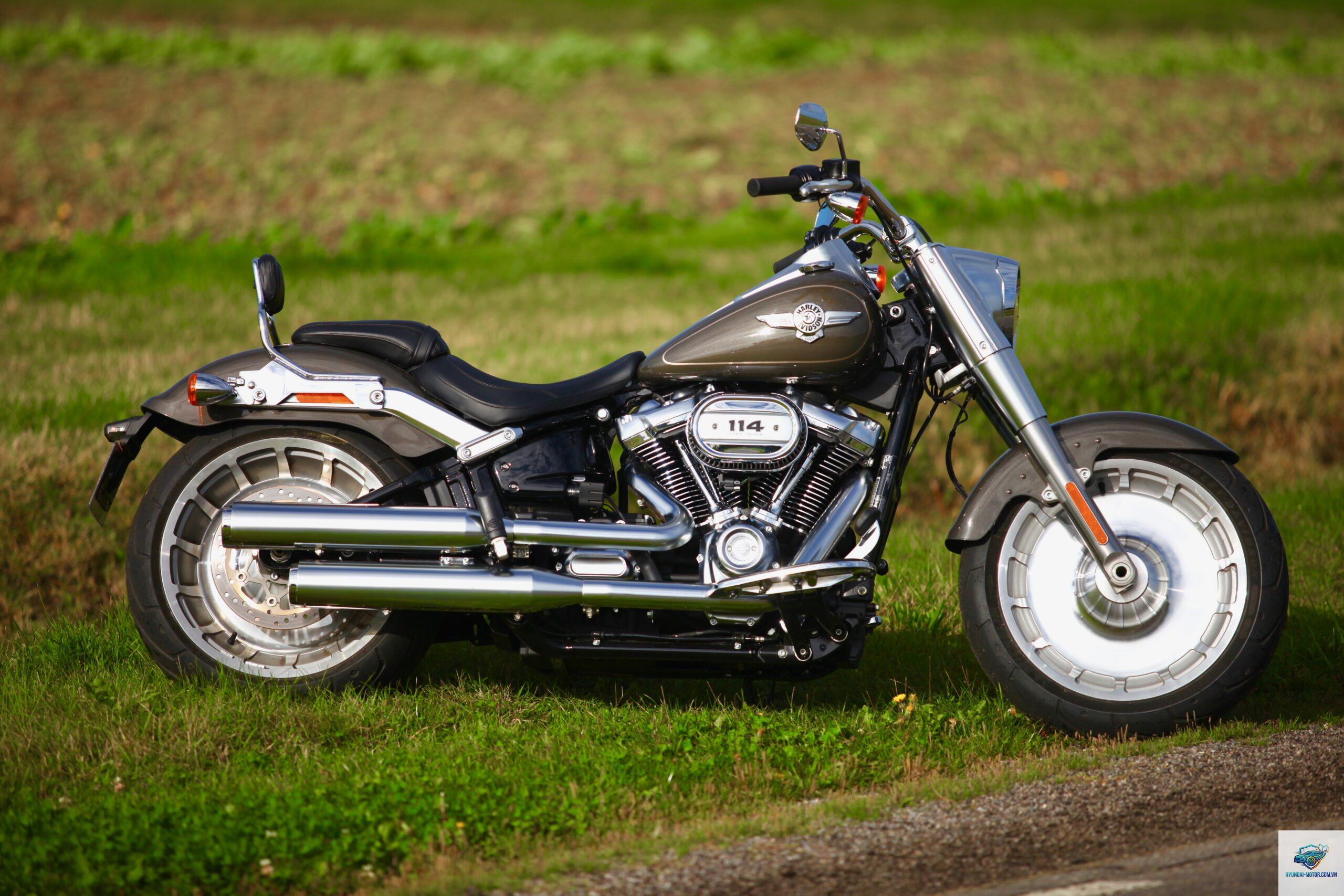 harley davidson fat boy - Hình 4