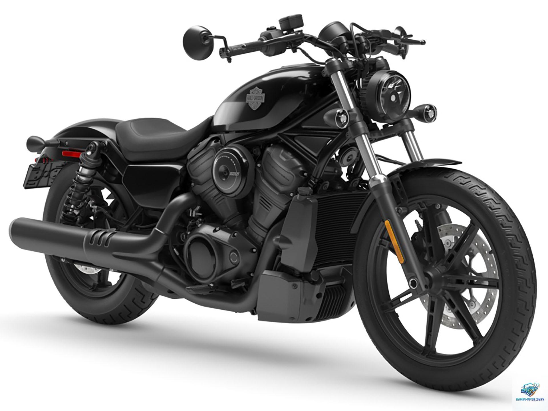 harley davidson nightster - Hình 4
