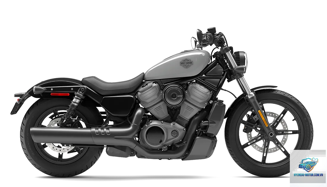 harley davidson nightster - Hình 1