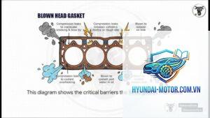 head gasket failure là gì