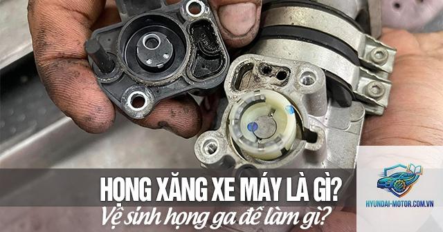 họng ga là gì - Hình 5