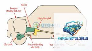 hộp phân phối là gì