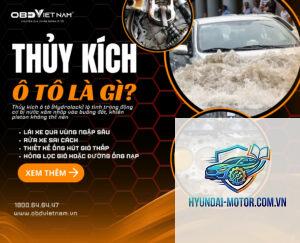 hydrolock là gì