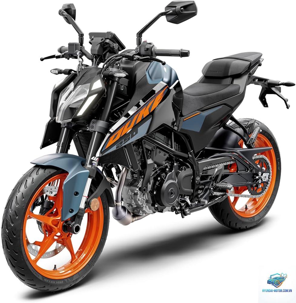 ktm duke 250 - Hình 4