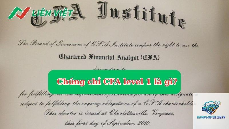 level 1 là gì - Hình 2
