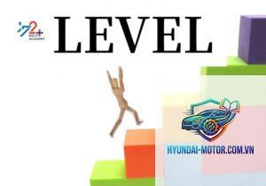 level 1 là gì