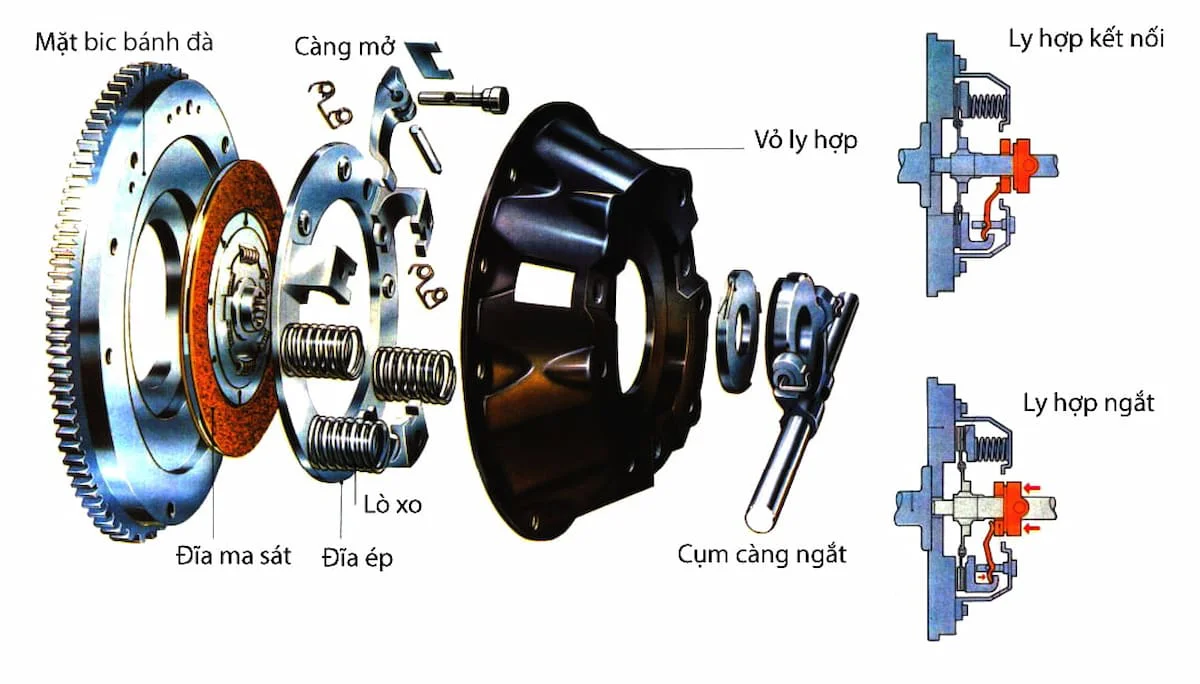 ly hợp là gì - Hình 4