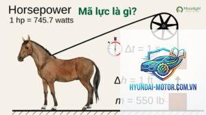 mã lực là gì