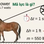 Mã lực là gì? Giải mã sức mạnh động cơ từ A đến Z cho người mới bắt đầu mã lực là gì