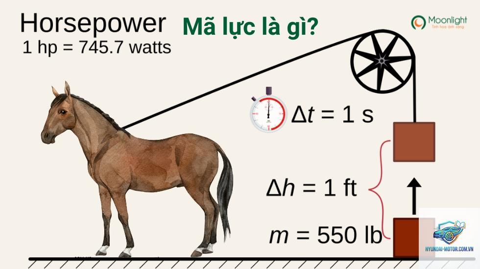 mã lực là gì