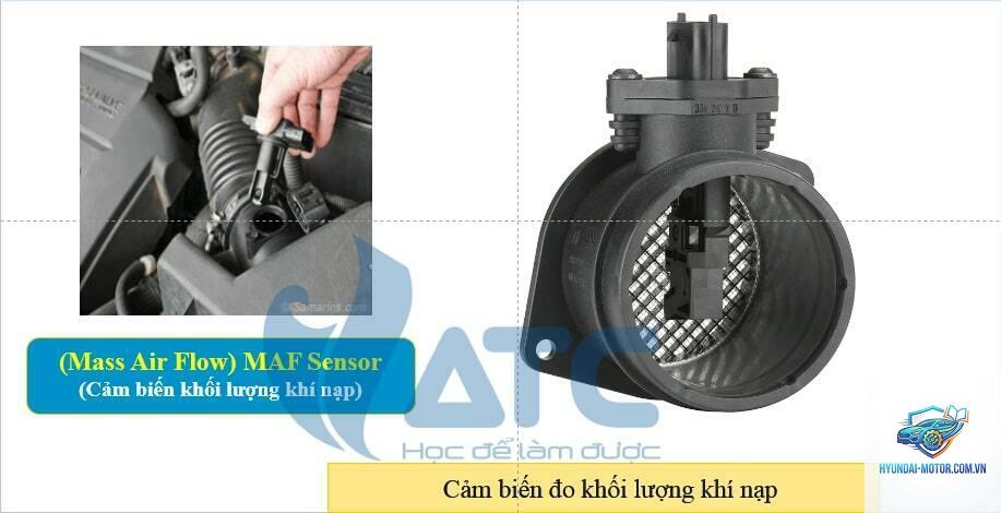 maf sensor là gì - Hình 4