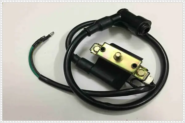 mobin sườn là gì - Hình 3