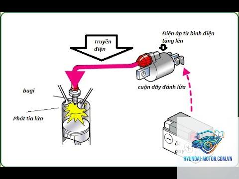 mobin sườn là gì - Hình 4