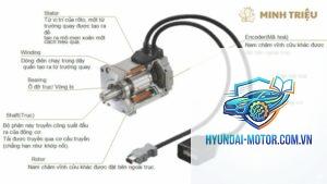 motor controller fault là gì